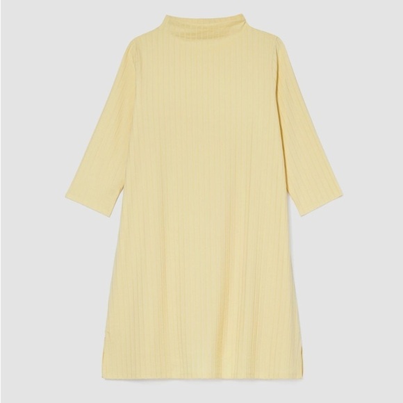 Eileen Fisher Dresses & Skirts - Eileen Fisher Washable Stretch Rib Funnel Neck Dress NWT